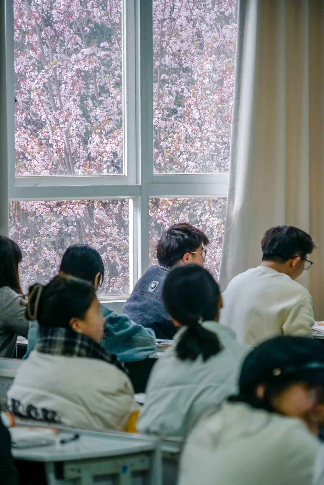 云南经济管理学院春季学期开学! 第 6 张 云南经济管理学院春季学期开学! 第 6 张