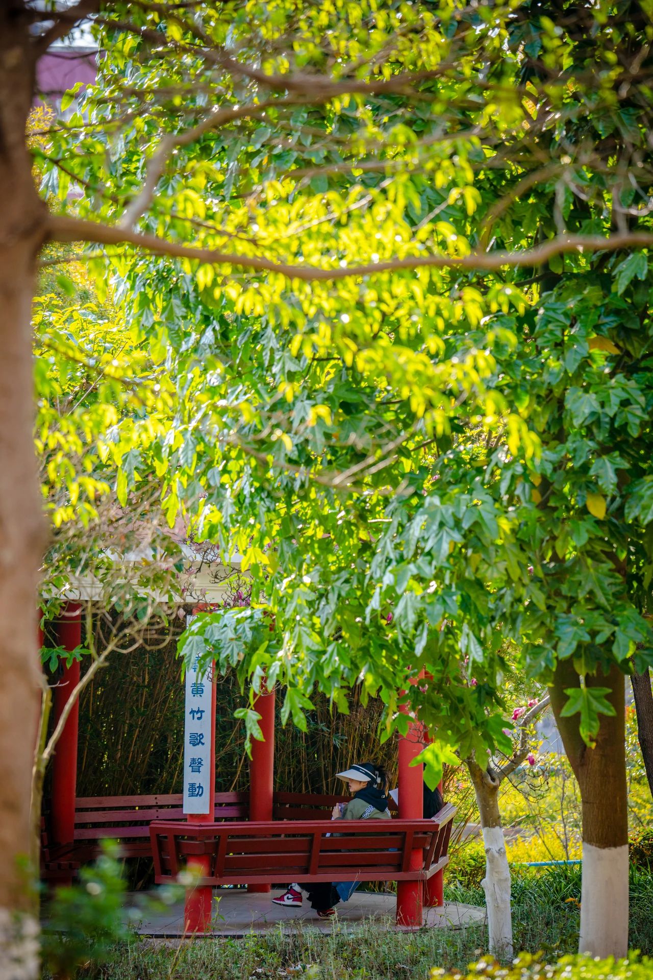 云南经济管理学院春季学期开学! 第 8 张 云南经济管理学院春季学期开学! 第 8 张