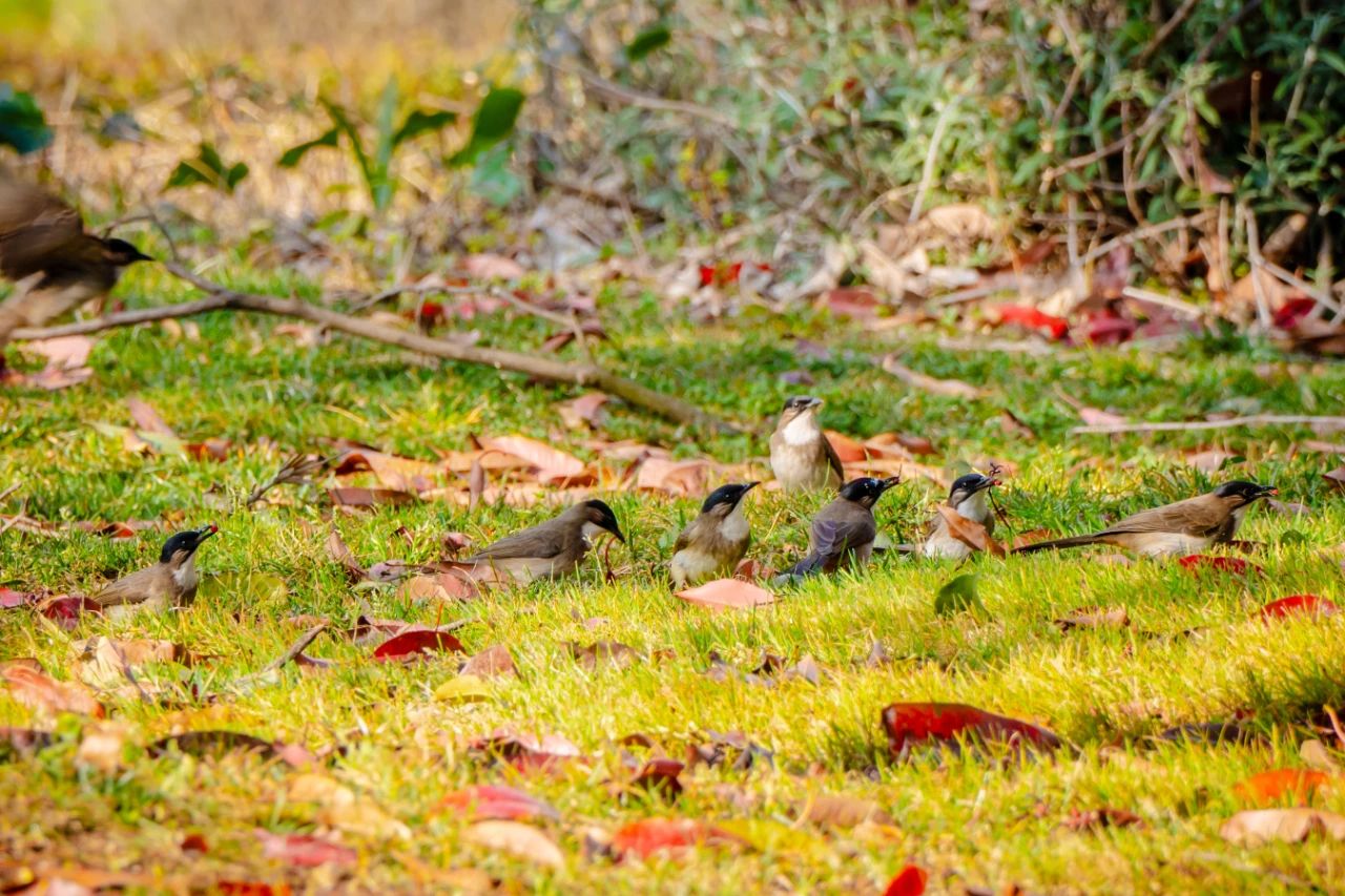云南经济管理学院春季学期开学! 第 14 张 云南经济管理学院春季学期开学! 第 14 张