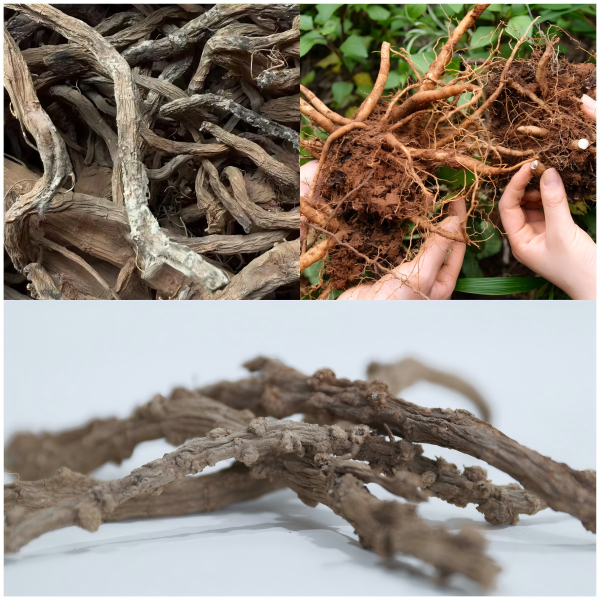 斩获全国银奖,这个团队让侠界奇药照见现实⁉️ 第 2 张 斩获全国银奖,这个团队让侠界奇药照见现实⁉️ 第 2 张