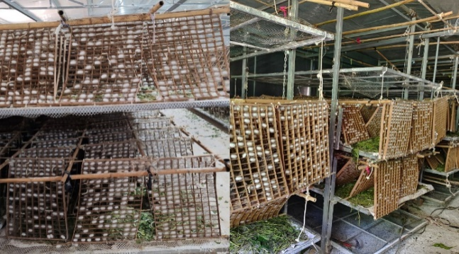 暑期社会实践 | 绿动青春沃野间--水源区固废循环利用实践队纪实 第 2 张 暑期社会实践 | 绿动青春沃野间--水源区固废循环利用实践队纪实 第 2 张