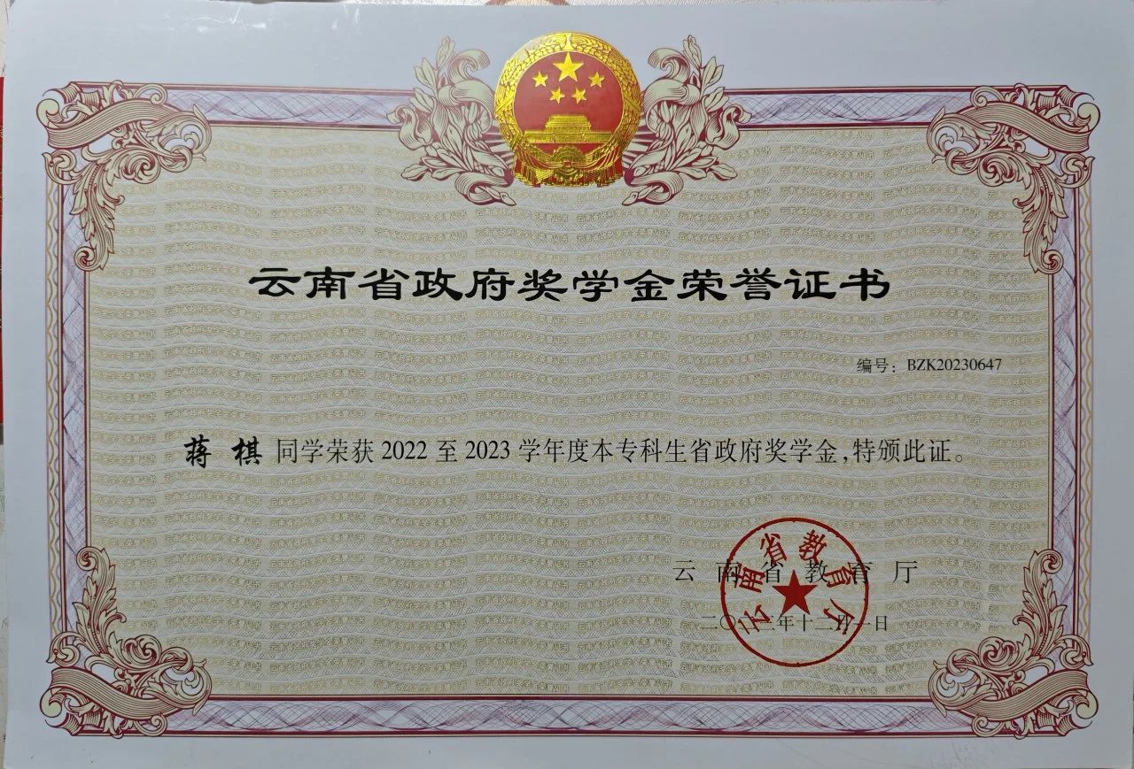 青春榜样说 | 蒋琪的追梦之旅：在奋斗中绽放璀璨光芒 第 14 张