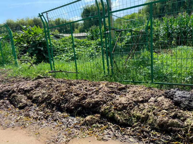 暑期社会实践 | 从课堂到田间地头,实践队用脚步踩出循坏经济的青春印记 第 3 张 暑期社会实践 | 从课堂到田间地头,实践队用脚步踩出循坏经济的青春印记 第 3 张